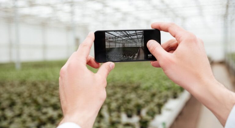 close-up-man-making-photo-greenery-1024x683