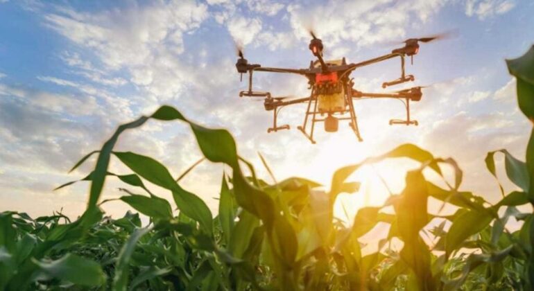 agricultura-40-20230717-1612015-1024x576